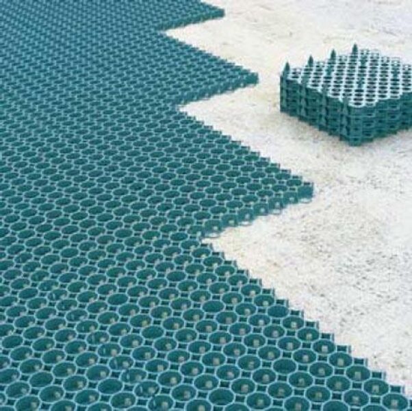 KORYS VEJAI GUTTA, ŽALIAS, 50 X 50 CM