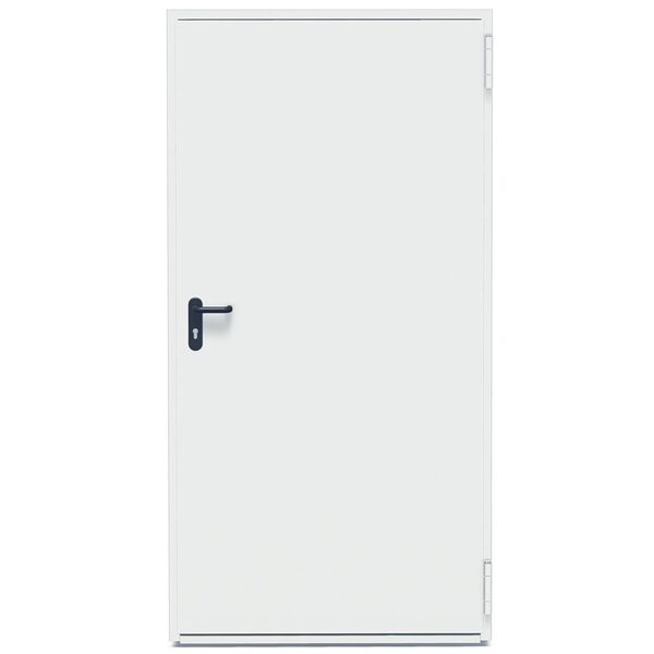 DURYS PLIEN T30-1 900X2100 RAL 9002