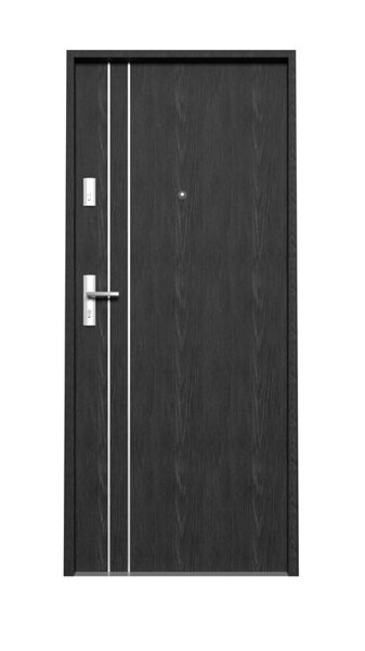 DURYS CLASSIC6 ANT ĄŽ ALU 990X2060D DOMOLETTI