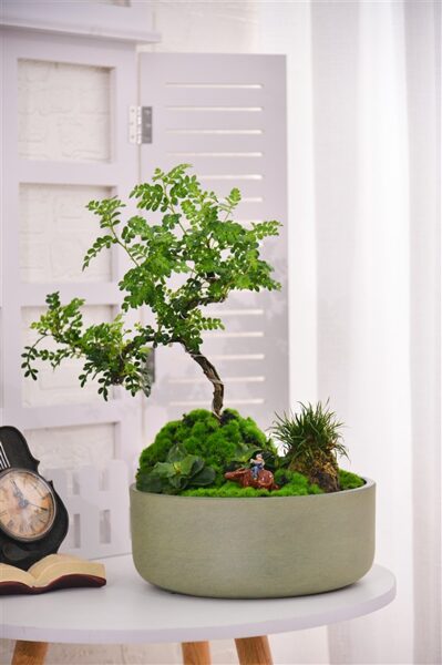 VAZONAS DOMOLETTI M-21GD15. SPW. Ø 15 CM. ŽALIAS