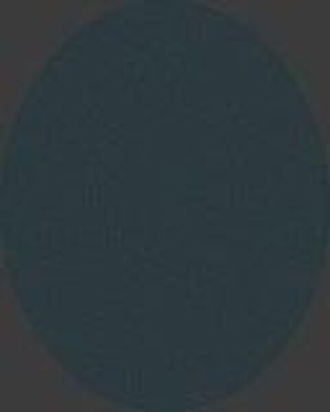 KILIMAS DOMOLETTI LIGHT ARES 520-XE8-B. PILKAS. D120 CM