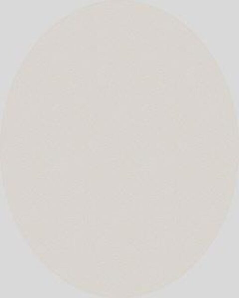 KILIMAS VIDAUS DOMOLETTI LIGHT ARES 520-XE5-W. KREM. D120 CM