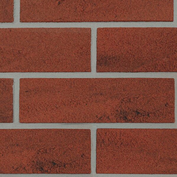 Raudona / bordo(UŽSAKOMOS)